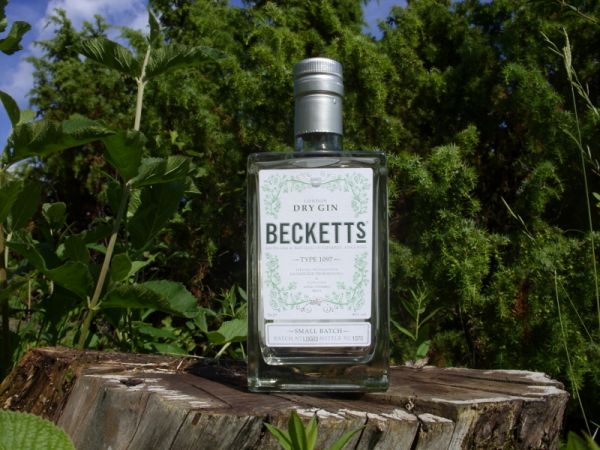 Guardian Article on Juniper Conservation and Beckett's Gin